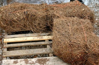 Soil and Straw